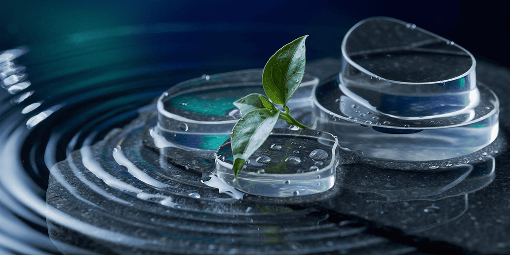 09-02-2026 - C NAD+ and Brain Fog_ What Wellness Seekers Should Know